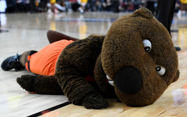 Oregon State WBB Unlikely to Reschedule All Postponed Games; Possible for MBB
